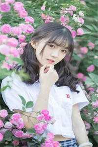 樱花草社区