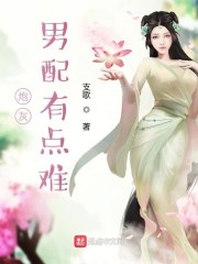 圣诞夜pg
