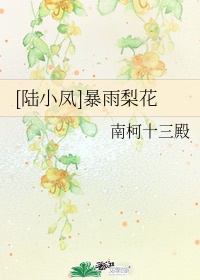 68设计师联盟