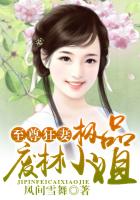 年轻镇长柳擎宇全集