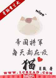 男后