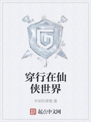瓷质砖