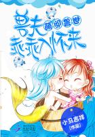 有梦想的小姨子