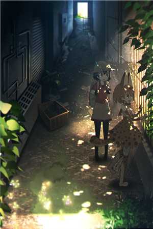 驴插我经过