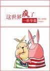 五孔插座