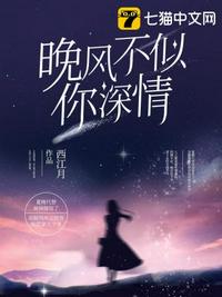 野猪导航