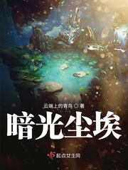 鹤唳华亭txt
