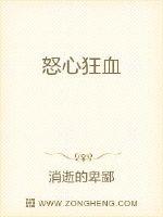 新岳乱合集500系列