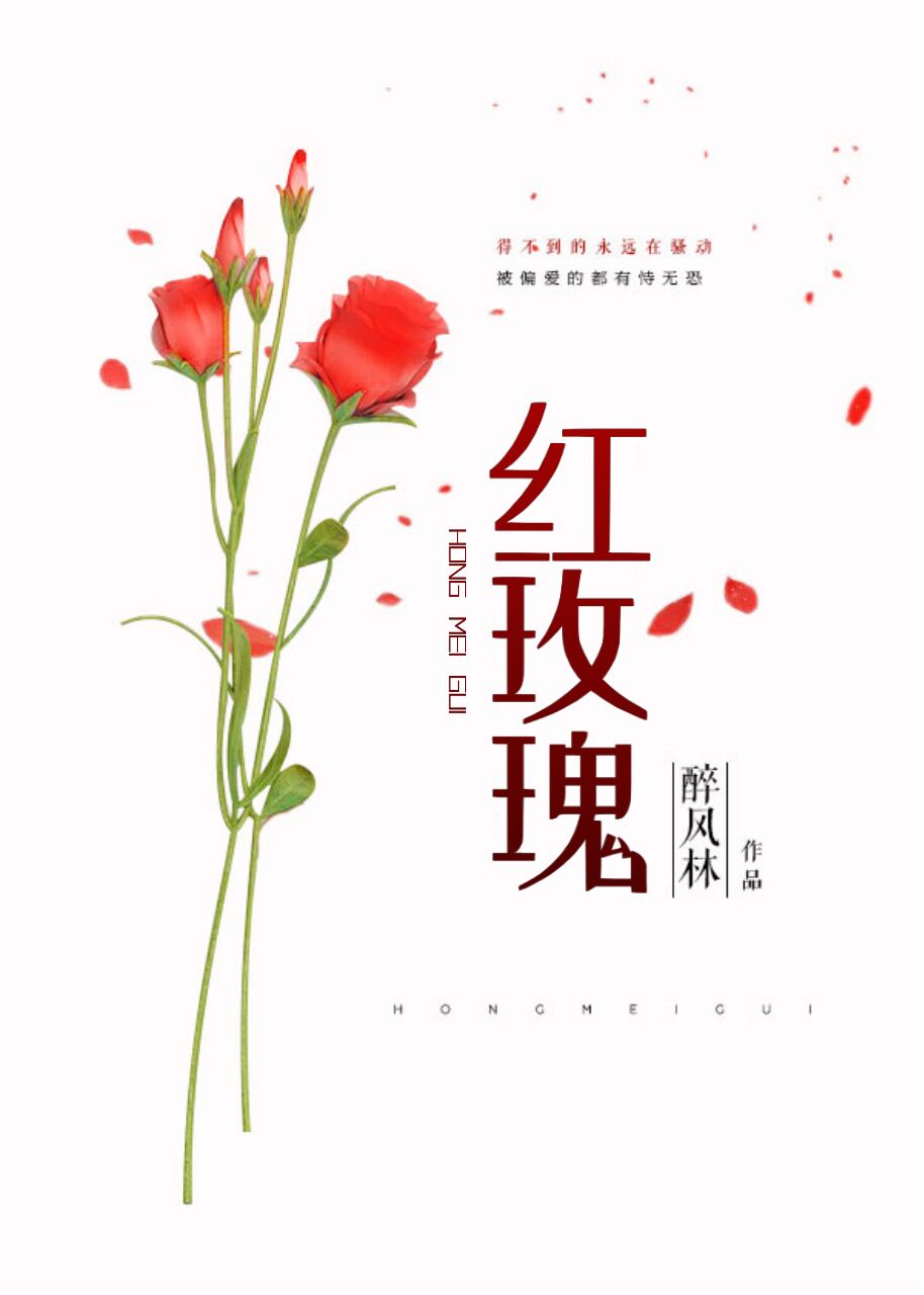 向量之间的乘法运算