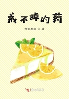 甲贺忍法帖阳炎