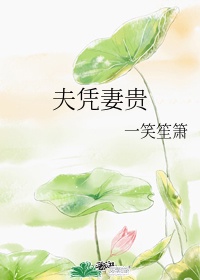 兄妹方程式多R车多1V3