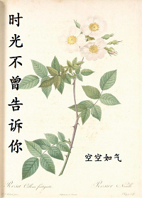 和赶尸艳谈一样尺度的影片