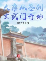 三妻四妾高清完整版电影免费观看