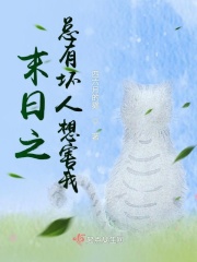 毛驴县令之酸儿辣女
