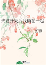 步步惊心电视剧