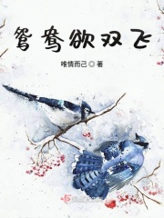 717电影网good理论片hd