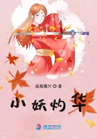 天官赐福免费观看完整版动漫