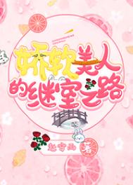 扶摇演员表