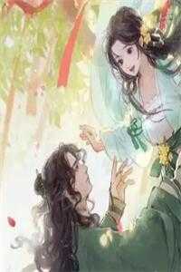 佩洛西丈夫