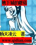 安琪小说