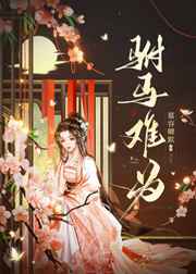 风流猎艳杨门女将