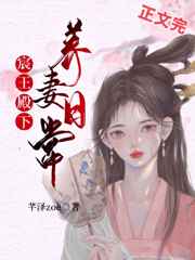 一场遇见爱情的旅行电视剧免费观看