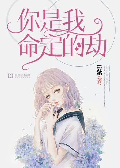 日本人体337