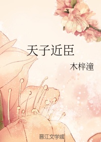 秦岚个人资料老公