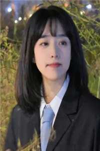 《野鸭子第二部》电视剧
