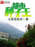 女主叫顾南衣的重生小说