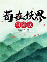 无遮挡视频