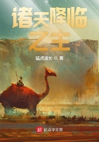 潘晓婷小说