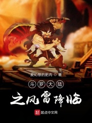dvd一级碟片