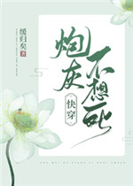 灰色的果实第一季风车