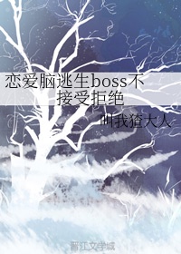 看黄视频