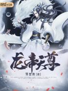 海贼王本子