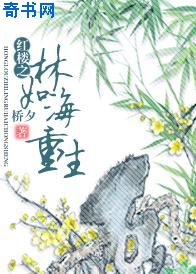 十七岁日本免费完整版bd
