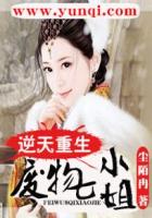 系统让我当大明星