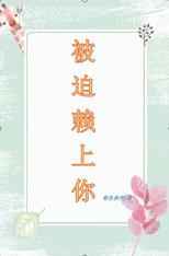 硅谷第四季