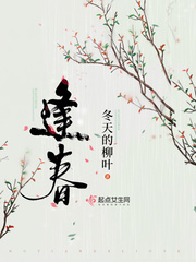 夏天我和小莹姐全文