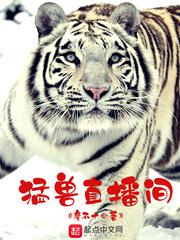 99精品视频免费观看