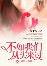 镖行天下全集