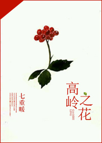 泷泽萝拉迅雷