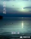 小熊的故事全文阅读目录