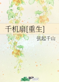 我当鸟人的那几年
