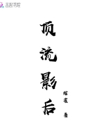 s8娱乐视频网在线观看