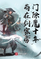 至尊无上1国语高清