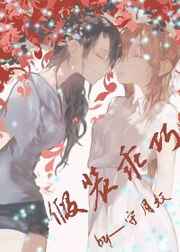 古墓丽影h版