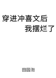 女检察官苏岚白冰美腿