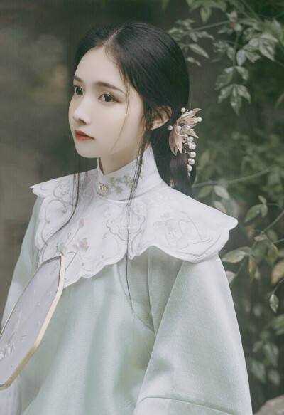 佩苏达坑孔伽